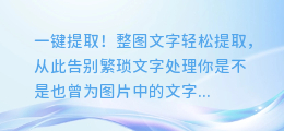 一键提取!整图文字轻松提取,从此告别繁琐文字处理