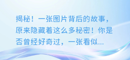 揭秘!一张图片背后的故事,原来隐藏着这么多秘密!