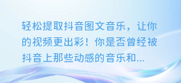 轻松提取抖音图文音乐,让你的视频更出彩!