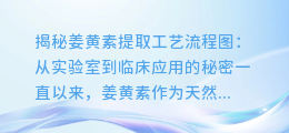 姜黄素提取工艺流程图揭秘:从实验室到临床应用的秘密