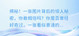揭秘!一张图片背后的惊人秘密,你敢相信吗?