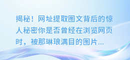 揭秘!网址提取图文背后的惊人秘密