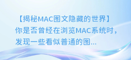 一键提取！揭秘MAC图文隐藏的世界