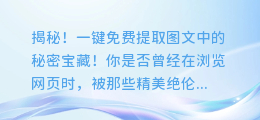 揭秘!一键免费提取图文中的秘密宝藏!