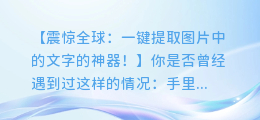 独家曝光:手机上的神奇图文提取软件,一键提取图片中的文字!