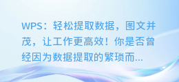 WPS:轻松提取数据,图文并茂,让工作更高效!
