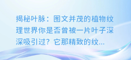 揭秘叶脉:图文并茂的植物纹理世界