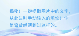 揭秘!一键提取图片中的文字,从此告别手动输入的烦恼!