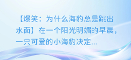 爆笑:为什么海豹总是跳出水面