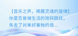 小学音乐公开课视频:带你领略音乐之美