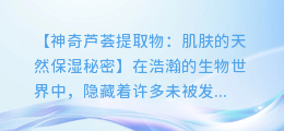 神奇芦荟提取物:肌肤的天然保湿秘密