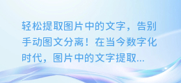 轻松提取图片中的文字,告别手动图文分离!