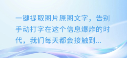 一键提取图片原图文字,告别手动打字