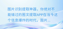 图片识别提取神器,你绝对不能错过的图文提取APP