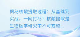 揭秘核酸提取过程:从基础到实战,一网打尽!
