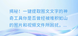 揭秘!一键提取图文文字的神奇工具