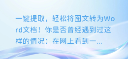 一键提取,轻松将图文转为Word文档!