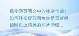 网页图文中的秘密宝藏:如何轻松提取图片