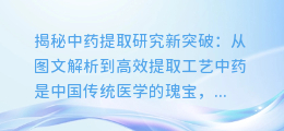 揭秘中药提取研究新突破:从图文解析到高效提取工艺
