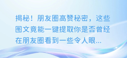 揭秘!朋友圈高赞秘密,这些图文竟能一键提取