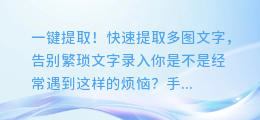 一键提取！快速提取多图文字，告别繁琐文字录入