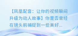 凤凰配音:轻松将你的视频瞬间升级为动人故事