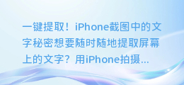 一键提取!iPhone截图中的文字秘密