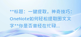 神奇技巧：OneNote如何一键提取图文文字