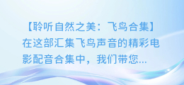 飞鸟合集:一部汇集飞鸟声音的精彩电影配音合集