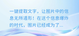 一键提取文字,让图片中的信息无所遁形!