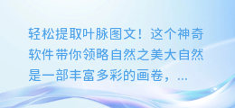 轻松提取叶脉图文!这个神奇软件带你领略自然之美