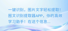 一键识别,图片文字轻松提取!图文识别提取器APP,你的高效学习助手!