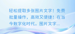 轻松提取多张图片文字!免费批量操作,高效又便捷!