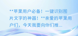 苹果用户必备!一键识别图片文字的神器!